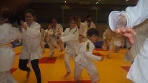 tl_files/judoka_stade/2016/Bilder/2017 12 Safari III.JPG